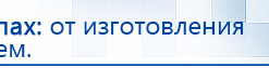 Электроды Скэнар -  двойной овал 55х90 мм купить в Заволжье, Электроды Скэнар купить в Заволжье, Дэнас официальный сайт denasolm.ru